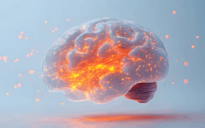 Cerebro Activo, Vida Plena: 5 Claves para Mejorar Memoria y Concentración en la Mediana Edad